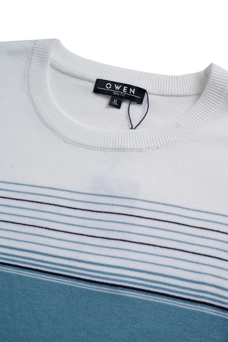 Áo len nam - ALC256038